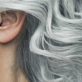 gray hair shampoo