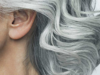 gray hair shampoo