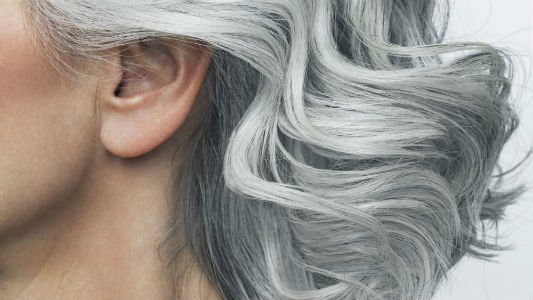 gray hair shampoo